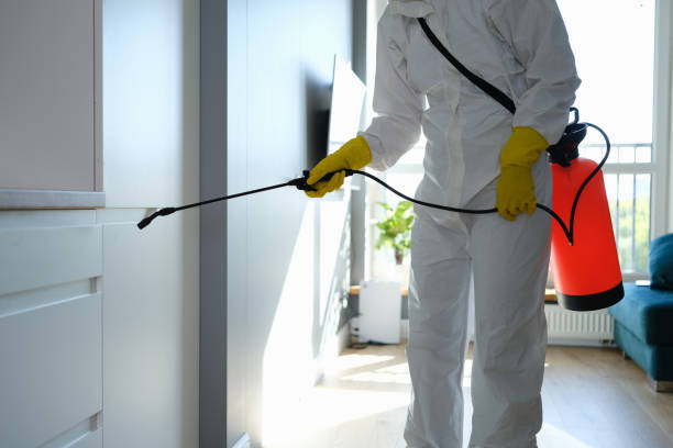 Crawl Space Mold Removal in Humboldt, TN